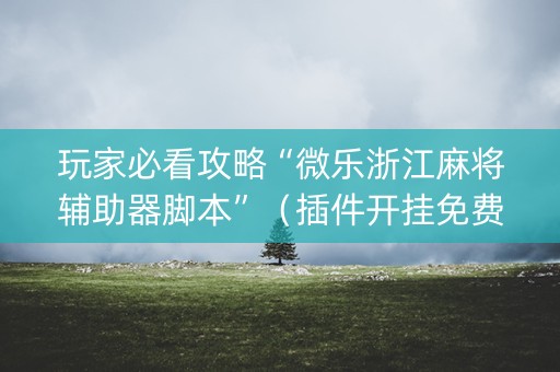 玩家必看攻略“微乐浙江麻将辅助器脚本”（插件开挂免费AI)