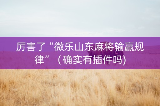 厉害了“微乐山东麻将输赢规律”（确实有插件吗)