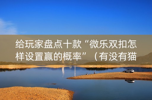 给玩家盘点十款“微乐双扣怎样设置赢的概率”（有没有猫腻)