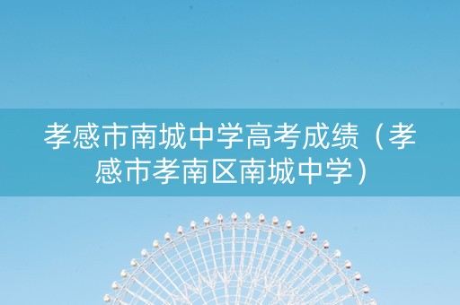 孝感市南城中学高考成绩（孝感市孝南区南城中学）