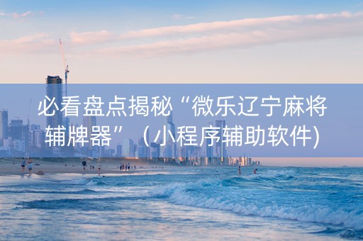 必看盘点揭秘“微乐辽宁麻将辅牌器”（小程序辅助软件)