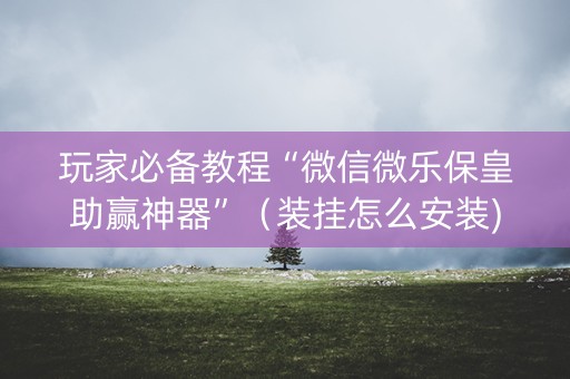 玩家必备教程“微信微乐保皇助赢神器”（装挂怎么安装)