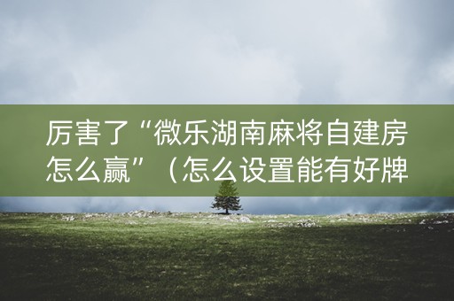 厉害了“微乐湖南麻将自建房怎么赢”（怎么设置能有好牌)