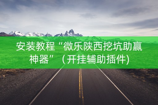 安装教程“微乐陕西挖坑助赢神器”（开挂辅助插件)