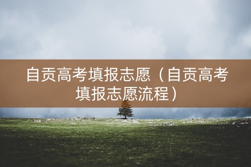 自贡高考填报志愿（自贡高考填报志愿流程）