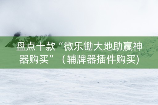 盘点十款“微乐锄大地助赢神器购买”（辅牌器插件购买)