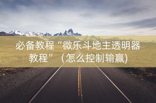必备教程“微乐斗地主透明器教程”（怎么控制输赢)