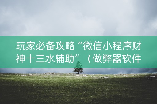 玩家必备攻略“微信小程序财神十三水辅助”（做弊器软件下载)