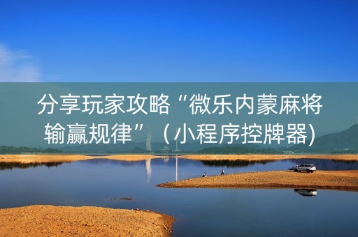 分享玩家攻略“微乐内蒙麻将输赢规律”（小程序控牌器)