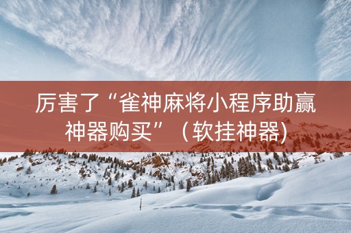厉害了“雀神麻将小程序助赢神器购买”（软挂神器)