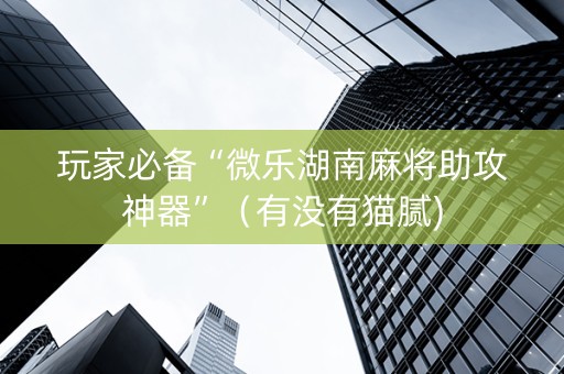 玩家必备“微乐湖南麻将助攻神器”（有没有猫腻)