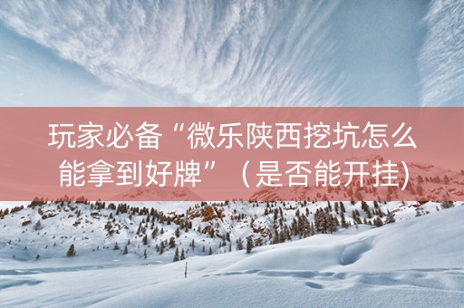 玩家必备“微乐陕西挖坑怎么能拿到好牌”（是否能开挂)