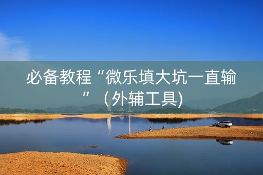 必备教程“微乐填大坑一直输”（外辅工具)
