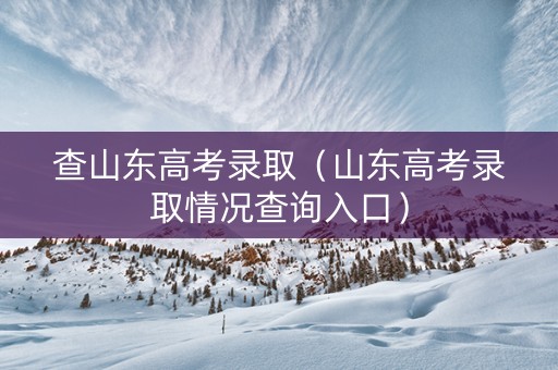 查山东高考录取（山东高考录取情况查询入口）