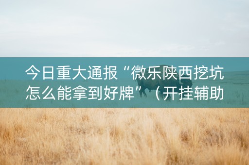 今日重大通报“微乐陕西挖坑怎么能拿到好牌”（开挂辅助器插件)
