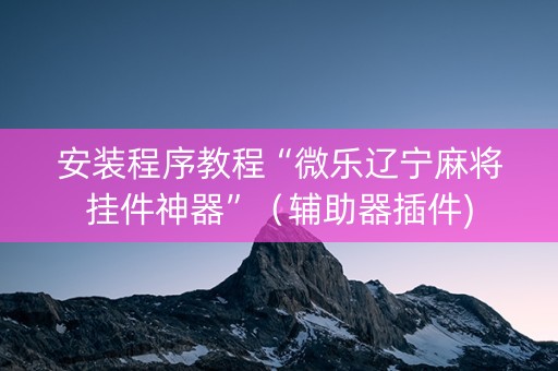 安装程序教程“微乐辽宁麻将挂件神器”（辅助器插件)