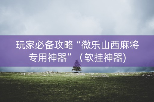 玩家必备攻略“微乐山西麻将专用神器”（软挂神器)