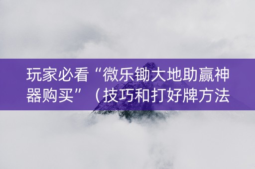 玩家必看“微乐锄大地助赢神器购买”（技巧和打好牌方法)