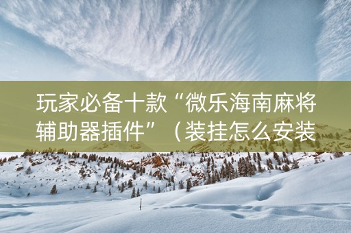 玩家必备十款“微乐海南麻将辅助器插件”（装挂怎么安装)