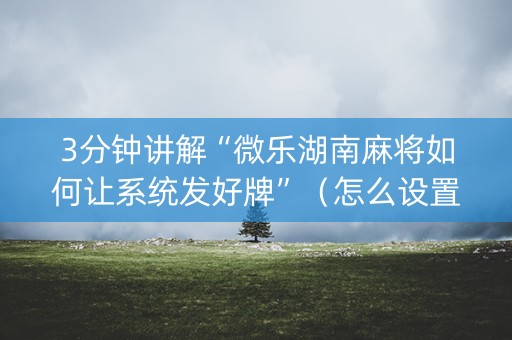 3分钟讲解“微乐湖南麻将如何让系统发好牌”（怎么设置才能赢)