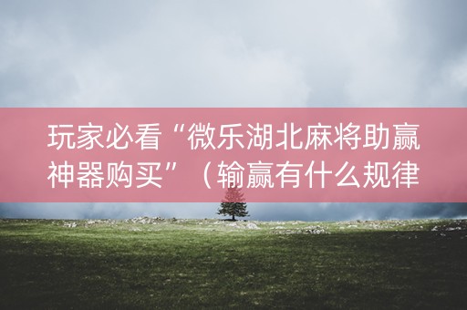 玩家必看“微乐湖北麻将助赢神器购买”（输赢有什么规律)