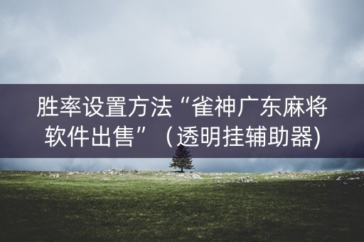 胜率设置方法“雀神广东麻将软件出售”（透明挂辅助器)