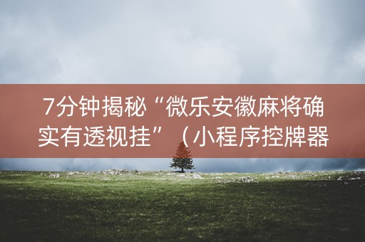 7分钟揭秘“微乐安徽麻将确实有透视挂”（小程序控牌器)