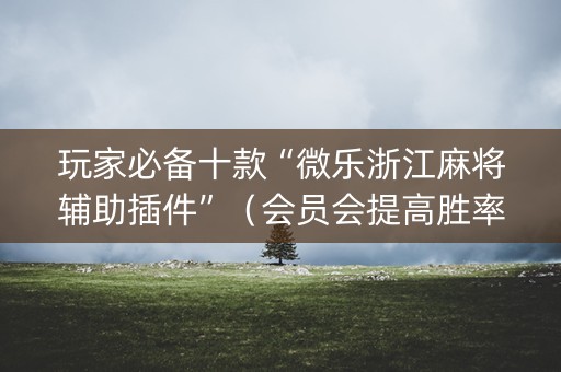 玩家必备十款“微乐浙江麻将辅助插件”（会员会提高胜率吗)