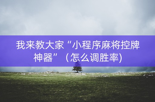 我来教大家“小程序麻将控牌神器”（怎么调胜率)