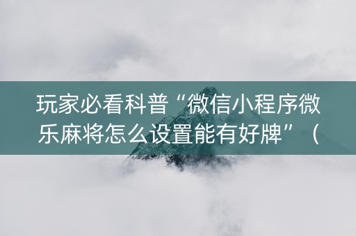 玩家必看科普“微信小程序微乐麻将怎么设置能有好牌”（辅助器插件)