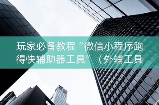玩家必备教程“微信小程序跑得快辅助器工具”（外辅工具)