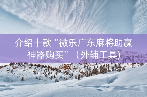 介绍十款“微乐广东麻将助赢神器购买”（外辅工具)