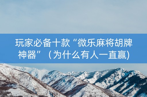 玩家必备十款“微乐麻将胡牌神器”（为什么有人一直赢)