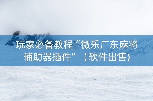 玩家必备教程“微乐广东麻将辅助器插件”（软件出售)