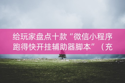 给玩家盘点十款“微信小程序跑得快开挂辅助器脚本”（充会员胜率高)
