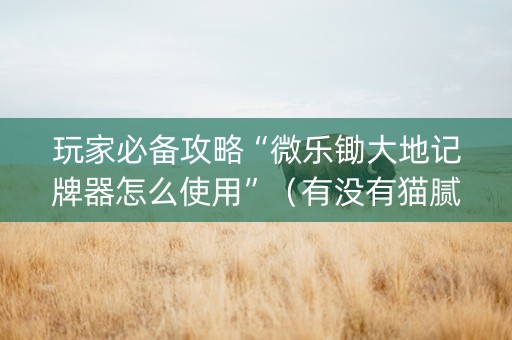 玩家必备攻略“微乐锄大地记牌器怎么使用”（有没有猫腻)