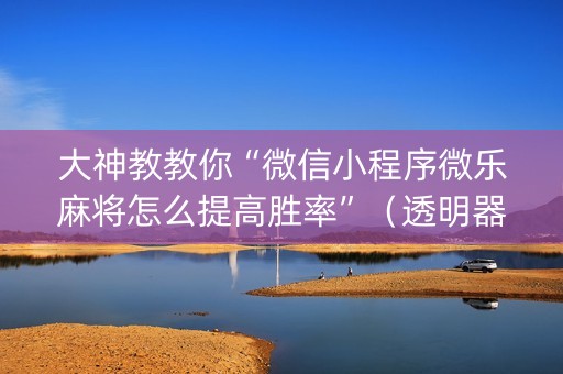 大神教教你“微信小程序微乐麻将怎么提高胜率”（透明器教程)