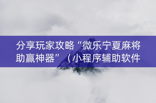 分享玩家攻略“微乐宁夏麻将助赢神器”（小程序辅助软件)