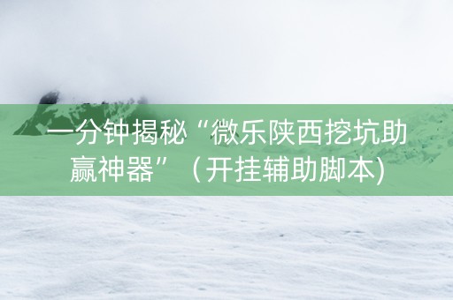 一分钟揭秘“微乐陕西挖坑助赢神器”（开挂辅助脚本)