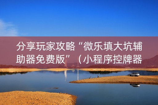 分享玩家攻略“微乐填大坑辅助器免费版”（小程序控牌器)