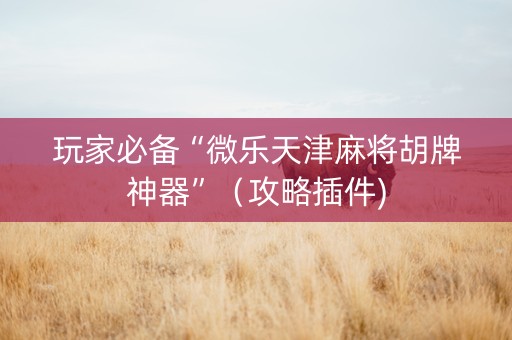 玩家必备“微乐天津麻将胡牌神器”（攻略插件)