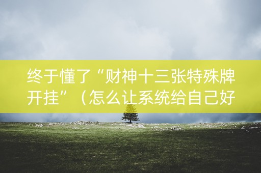 终于懂了“财神十三张特殊牌开挂”（怎么让系统给自己好牌)