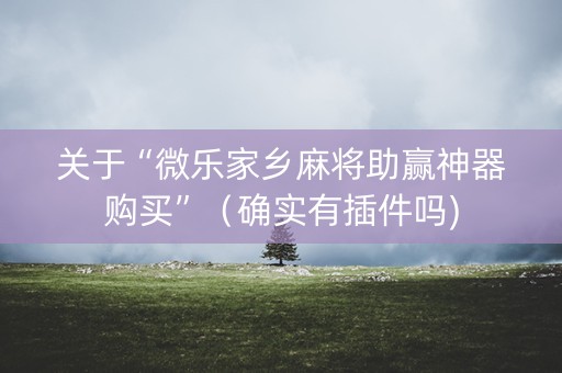 关于“微乐家乡麻将助赢神器购买”（确实有插件吗)