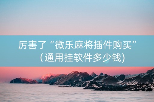 厉害了“微乐麻将插件购买”（通用挂软件多少钱)