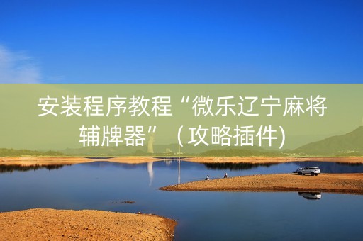 安装程序教程“微乐辽宁麻将辅牌器”（攻略插件)