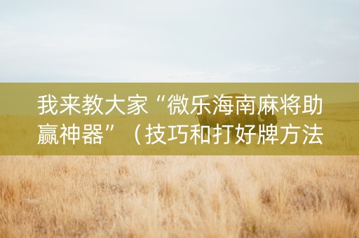 我来教大家“微乐海南麻将助赢神器”（技巧和打好牌方法)