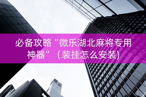 必备攻略“微乐湖北麻将专用神器”（装挂怎么安装)