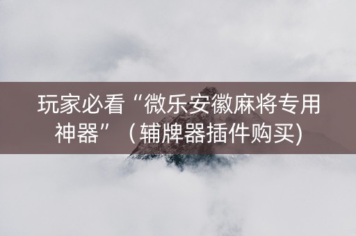 玩家必看“微乐安徽麻将专用神器”（辅牌器插件购买)