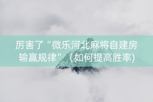 厉害了“微乐河北麻将自建房输赢规律”（如何提高胜率)