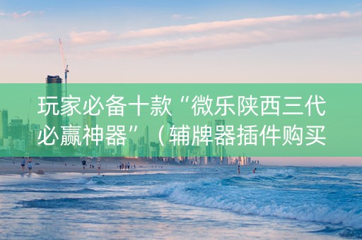 玩家必备十款“微乐陕西三代必赢神器”（辅牌器插件购买)